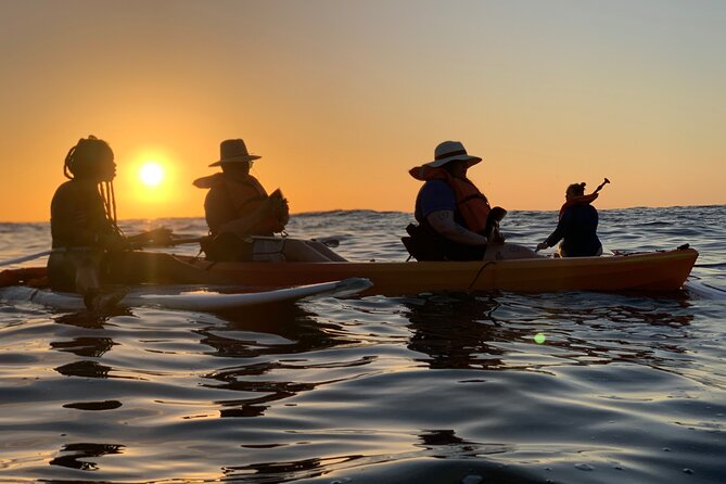 Bioluminescence by kayak or SUP to Los Arcos Puerto Vallarta - Sunset vs dawn: which departure fits your perfect glowing-water plan