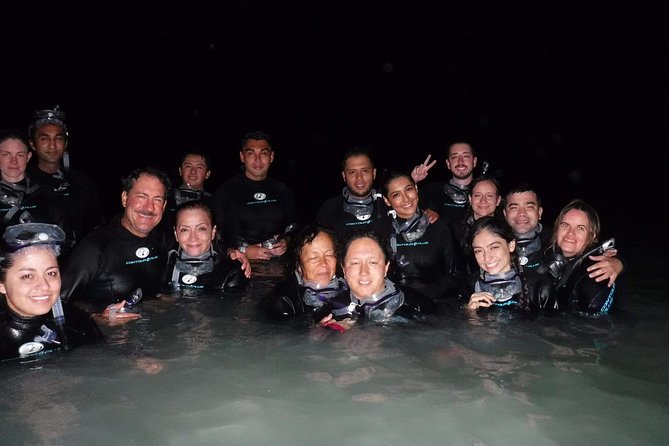 Bioluminescence Experience in Holbox - Walking Into the Night: What Happens Before You Swim