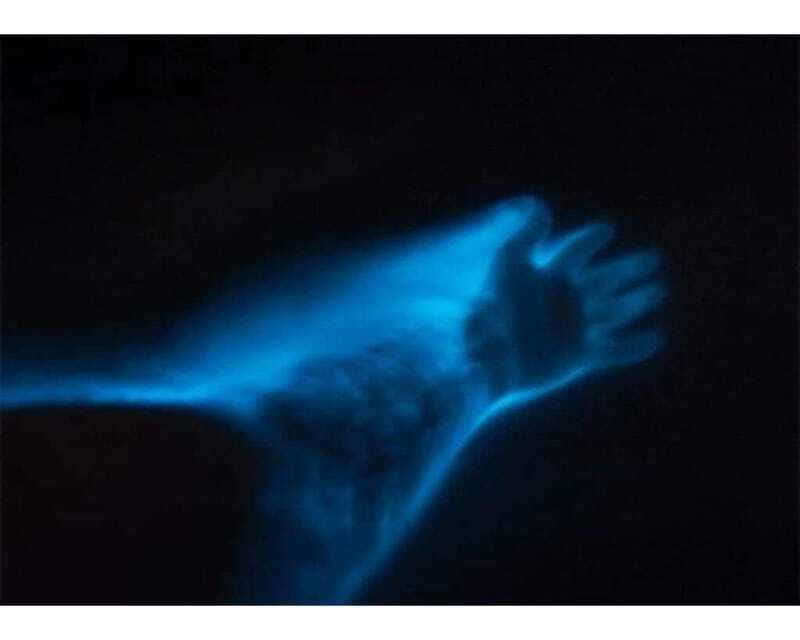 BIOLUMINESCENCE IN PUERTO ESCONDIDO - Lagunas de Chacahua National Park time, wildlife viewing plus water fun