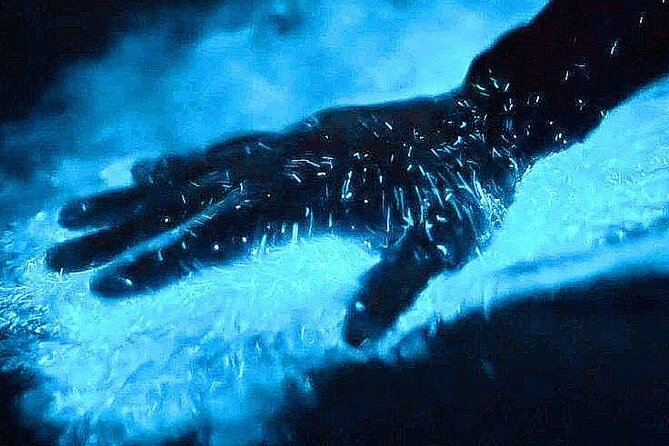 Bioluminescence & sunset local boat tour to Los Arcos Sanctuary - Key things that make this tour worth your time