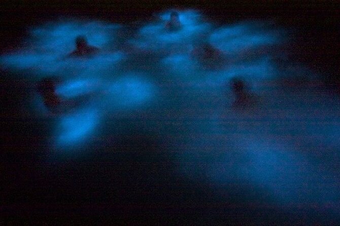 Bioluminescence & sunset local boat tour to Los Arcos Sanctuary - Who this tour is best for, and who should skip it