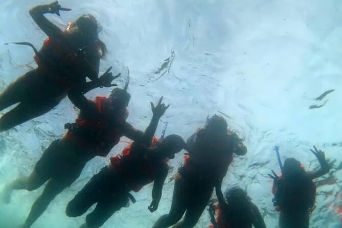 Boat and Snorkel Tour to 5 Islands of Los Arcos - Why Los Arcos Feels Special: Caves, Birds, and Coral Close to Vallarta