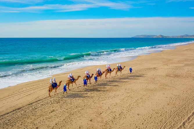Boat Ride to the Arch and Beach Camel Ride in Cabo San Lucas - Key points you should know before you go