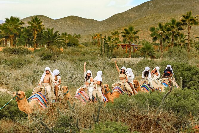 Boat Ride to the Arch and Beach Camel Ride in Cabo San Lucas - Pickup to marina: what the start feels like