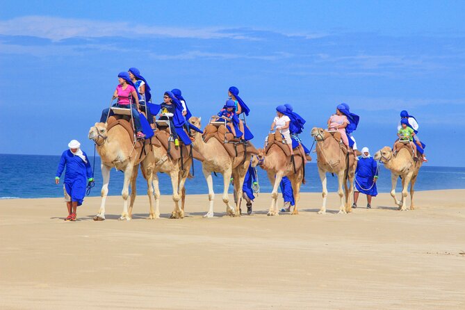 Boat Ride to the Arch and Beach Camel Ride in Cabo San Lucas - Lunch buffet, tequila tastings, and the ranch side perks