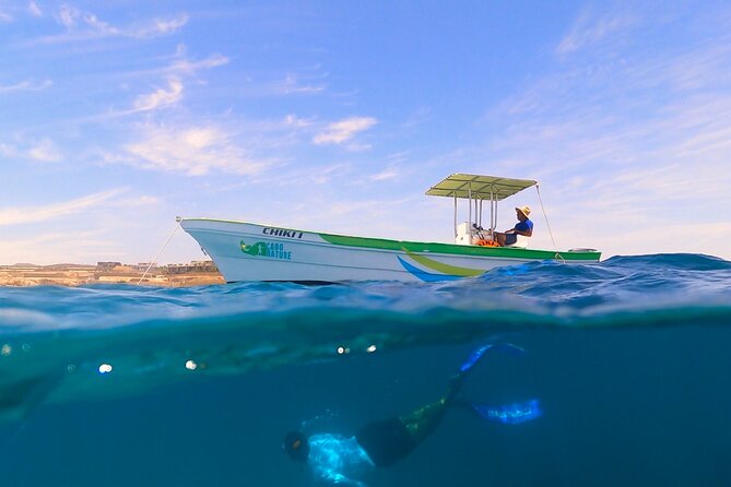 Boat ride to the Arch and Snorkel - Out on the Sea of Cortez: A Smooth Ride With Scenic Stops