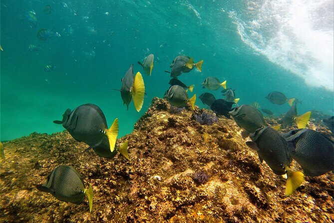 Boat ride to the Arch and Snorkel - Practical Considerations Before You Book