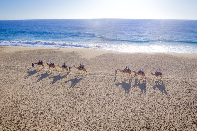 Cabo Beach Camel Ride, Mexican Buffet and Tequila Tasting - Key things to know before you go