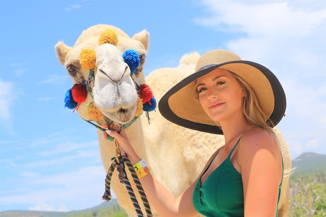 Cabo Beach Camel Ride, Mexican Buffet and Tequila Tasting - Tequila and mezcal tasting, how to enjoy it without overdoing it