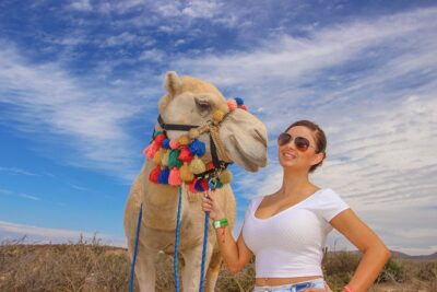Cabo Beach Camel Ride, Mexican Buffet and Tequila Tasting