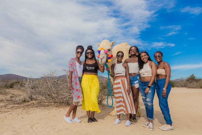 Cabo Beach Camel Ride, Mexican Buffet and Tequila Tasting - Price, entrance fees, and what you’re really paying for