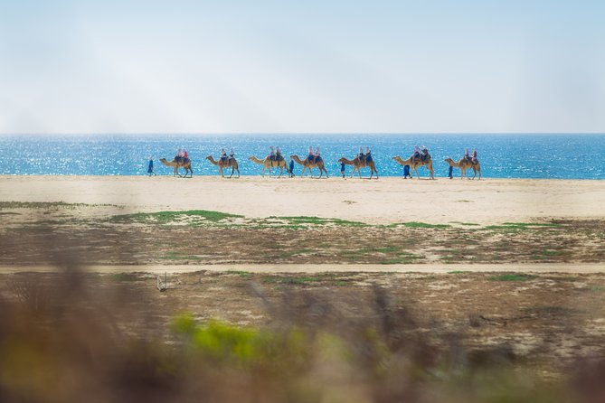 Cabo Beach Camel Ride, Mexican Buffet and Tequila Tasting - Smart tips so your day feels smooth