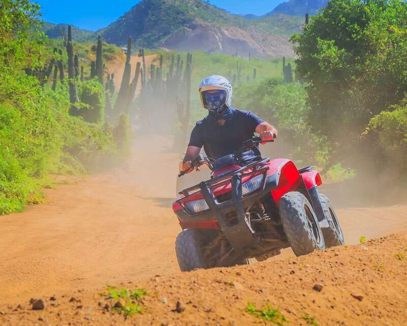 Cabo: Beach & Desert Single ATV Tour with Tequila Tasting - Key highlights worth knowing