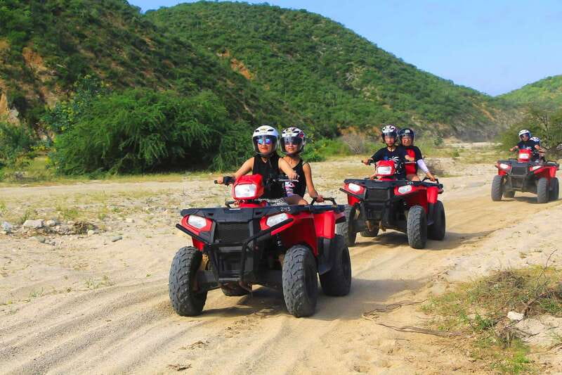 Cabo: Beach & Desert Single ATV Tour with Tequila Tasting - The ride: desert speed, wildlife, and beach-edge passes