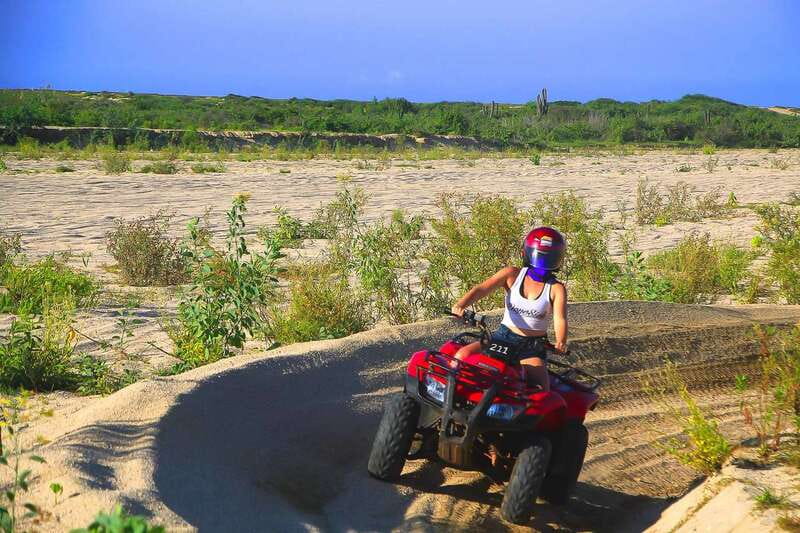 Cabo: Beach & Desert Single ATV Tour with Tequila Tasting - Tequila tasting after the ride, plus a tasty local finish