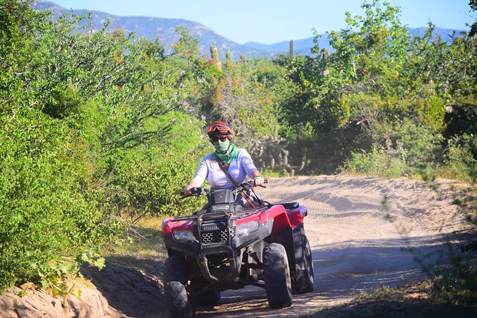 Cabo Candelaria Village Adventure + Tequila Tasting - FAQ