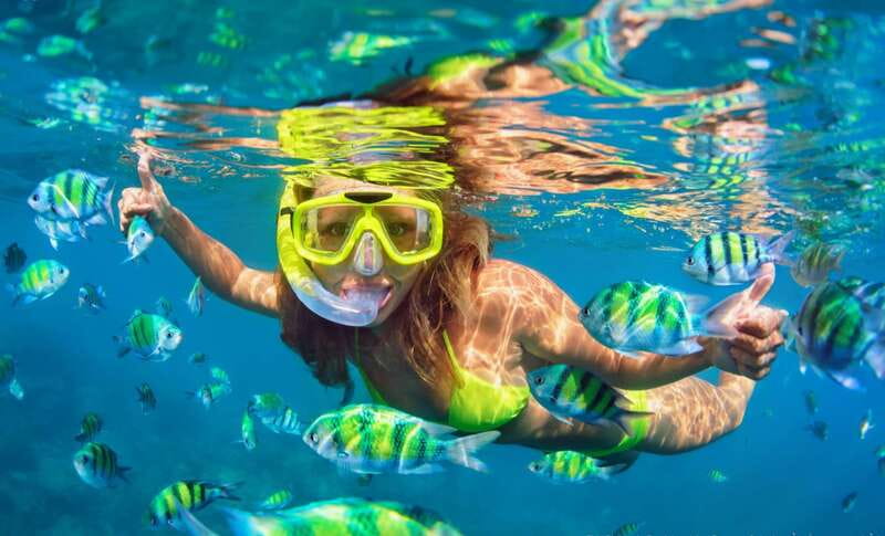 Cabo Catamaran Snorkel: Arch & Santa Maria, Open Bar, Snacks - What You Get for $75: Value Breakdown That Actually Helps