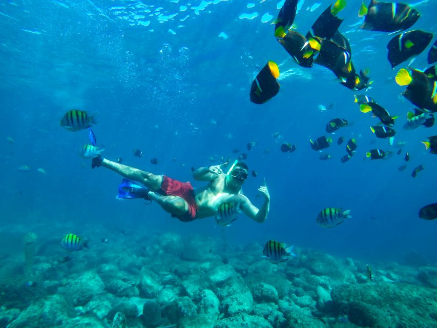 Cabo Catamaran Snorkel: Arch & Santa Maria, Open Bar, Snacks - Sailing Past Paya del Amor, El Medano Beach, and the Tourist Corridor