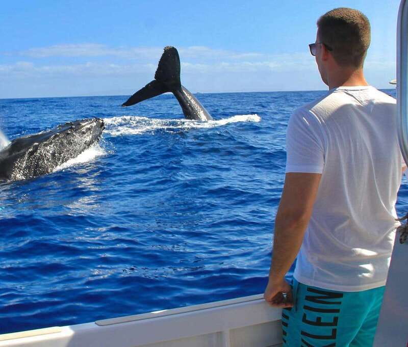 Cabo Catamaran Snorkel: Arch & Santa Maria, Open Bar, Snacks - Open Bar, Snacks, and the Onboard Mood: The Part You Can Control