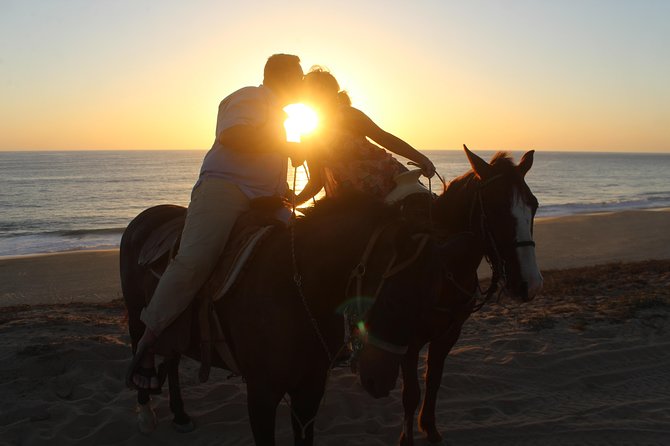 Cabo Desert Off-Road & Beach Horseback Combo and Tequila Tasting - The end-of-tour tequila tasting that rounds things out