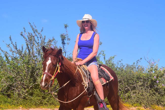 Cabo Desert Off-Road & Beach Horseback Combo and Tequila Tasting - Price and the extras: what $100 covers and what can add up