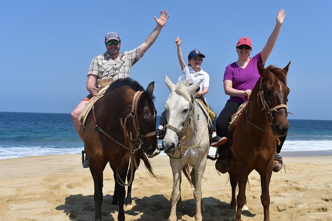 Cabo Desert Off-Road & Beach Horseback Combo and Tequila Tasting - Pickup, timing, and why the first 20 minutes can set the mood