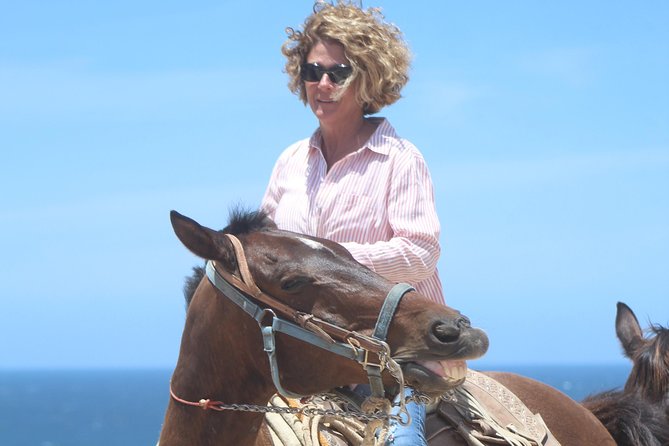 Cabo Desert Off-Road & Beach Horseback Combo and Tequila Tasting - Equipment and safety: the fun factor meets the reality check