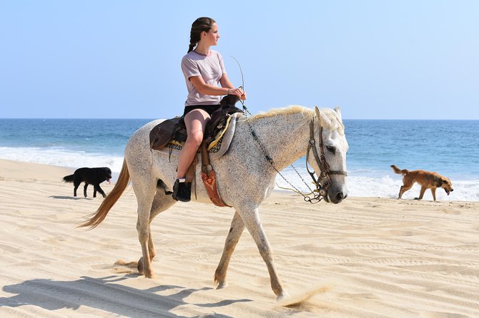 Cabo Desert Off-Road & Beach Horseback Combo and Tequila Tasting - Entering the dirt: ATV riding through Cabo countryside