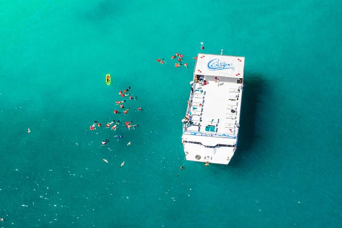 Cabo Escape Breakfast Snorkel Cruise - Where You’ll Be: O Dock Marina and a 9:00 AM Start