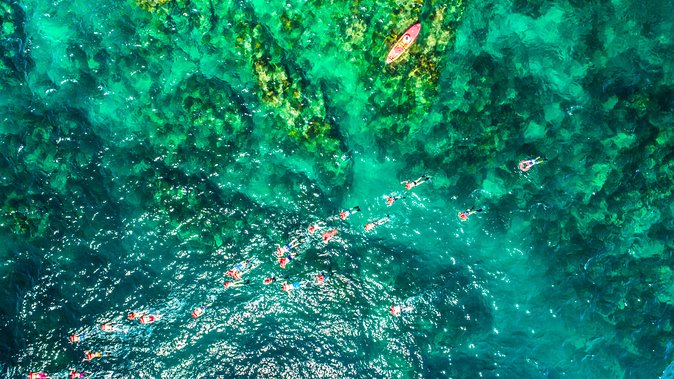 Cabo Escape Breakfast Snorkel Cruise - Stop 2: Playa el Chileno Snorkeling With Gear and a Protected Setup