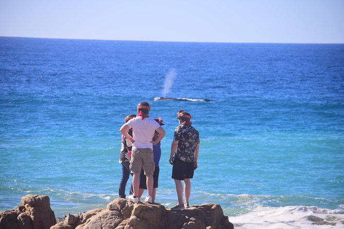 Cabo Original Real Baja 1000 Tour (Single ATV) - What You Get in the Price, and What Costs Extra (Park Fee and Optional Insurance)
