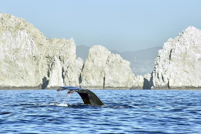 Cabo Private Transportation to Cabo - The 30 to 50 Minute Ride: Clean SUV Comfort From the Start