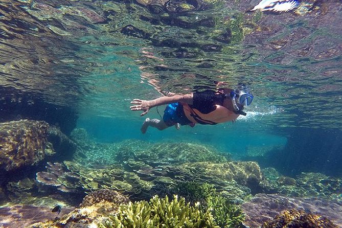Cabo Pulmo National Park Snorkel Expedition from Cabo San Lucas - Key things to know before you go