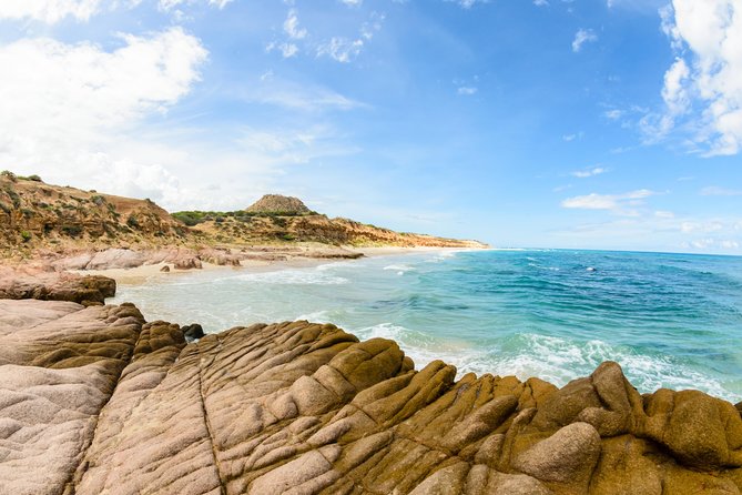 Cabo Pulmo National Park Snorkel Expedition from Cabo San Lucas - Price and value: is $279 a fair deal for this day?
