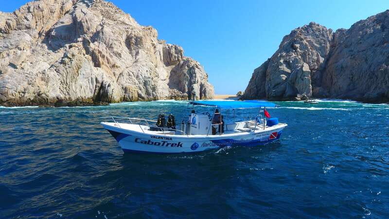 Cabo San Lucas: 2.5-Hour Whale Watching Tour - Arch of Cabo San Lucas and the Sea Lion Colony Views