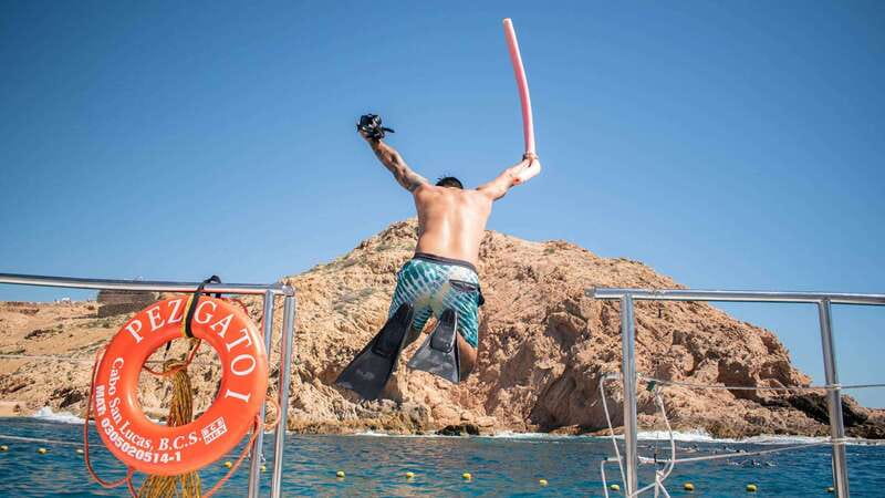 Cabo San Lucas: 4-Hour Snorkeling Cruise with Open Bar - Key highlights at a glance