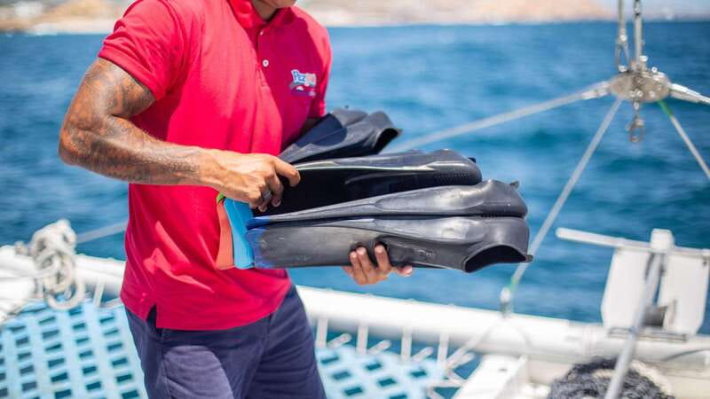 Cabo San Lucas: 4-Hour Snorkeling Cruise with Open Bar - Pickup zones and the 4-hour flow: how the timing feels in real life