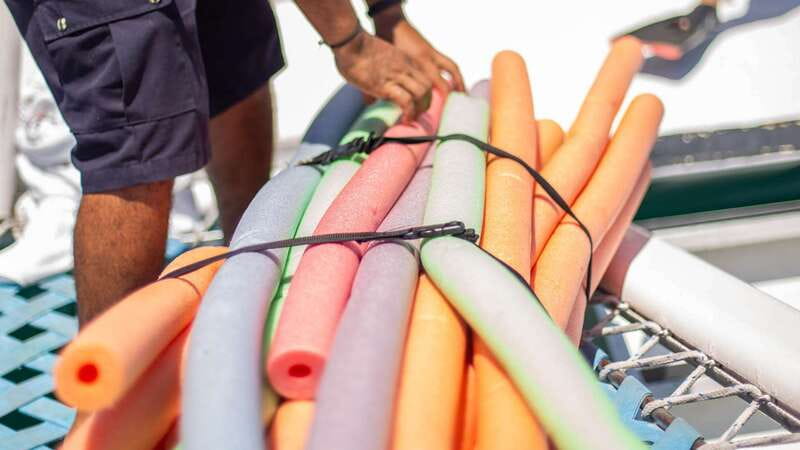 Cabo San Lucas: 4-Hour Snorkeling Cruise with Open Bar - Who should book this Cabo snorkeling cruise, and who should skip it