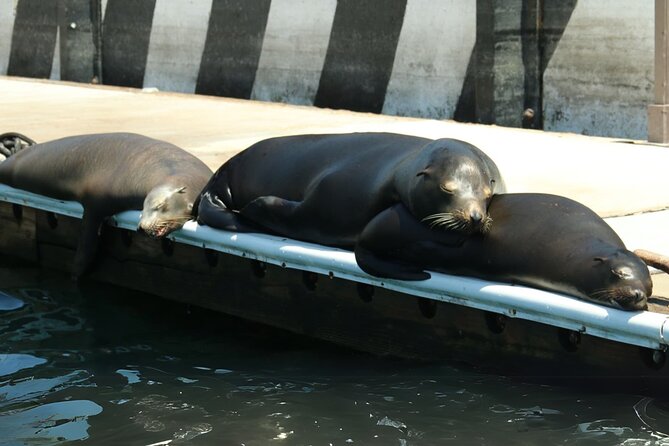 Cabo San Lucas Arc Group Tour in Glass Bottom Boat - Key highlights worth caring about