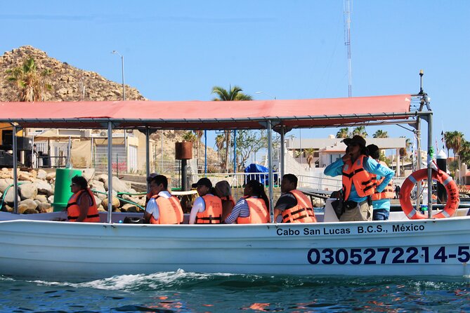 Cabo San Lucas Arc Group Tour in Glass Bottom Boat - Pacific vs Sea of Cortez: the rougher water viewpoint