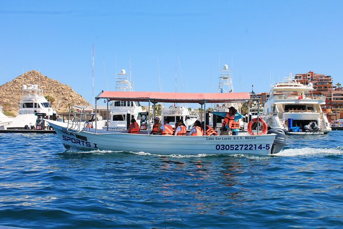 Cabo San Lucas Arc Group Tour in Glass Bottom Boat - What the glass-bottom really looks like