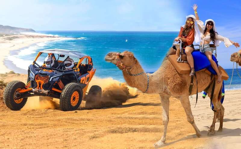 Cabo San Lucas: Camel Ride & Off-Road UTV Combo Adventure - Key things to know before you go