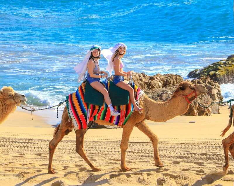 Cabo San Lucas: Camel Ride & Off-Road UTV Combo Adventure - Should You Book the Cabo Camel Ride & UTV Combo?
