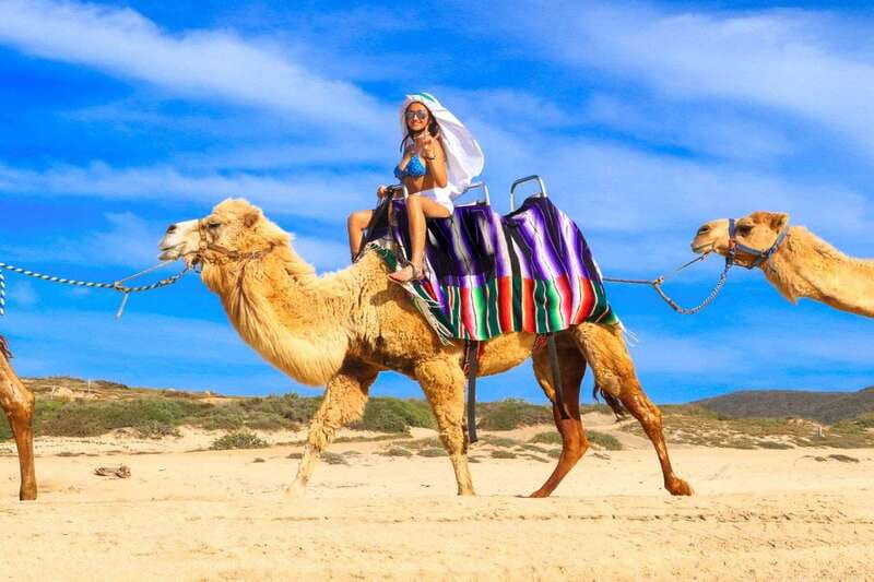 Cabo San Lucas: Camel Ride & Off-Road UTV Combo Adventure - Migriño Beach Dunes and Ocean Cliffs: Where the Day Lands