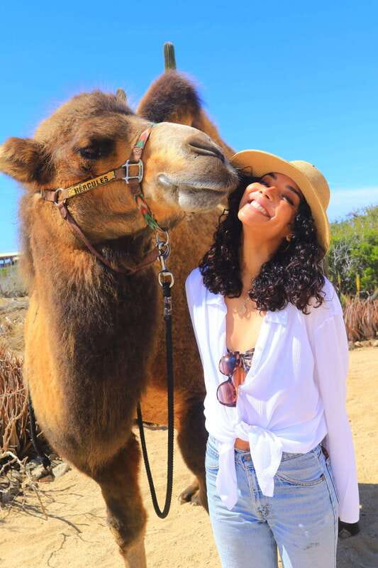 Cabo San Lucas: Camel Ride & Off-Road UTV Combo Adventure - Pickup, Timing, and Getting There Without Stress