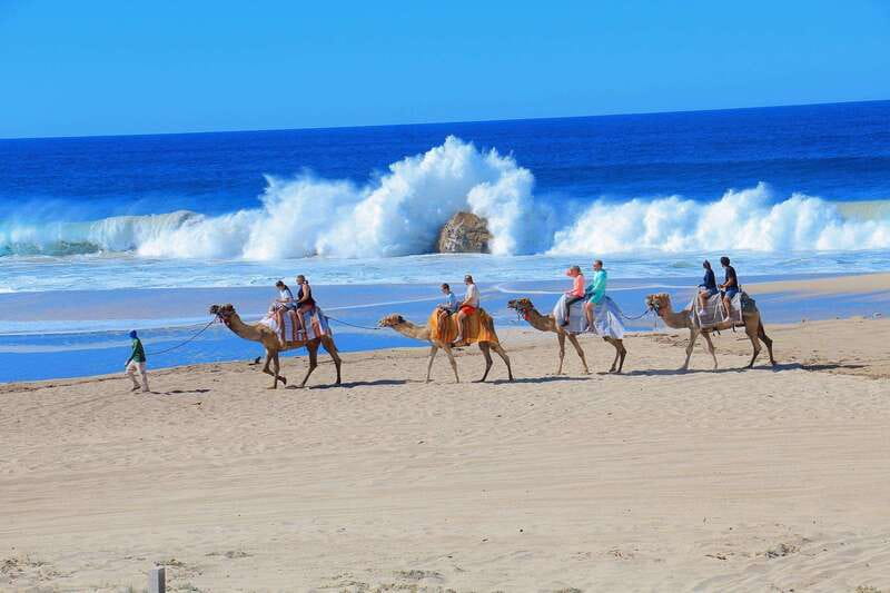 Cabo San Lucas: Camel Ride & Off-Road UTV Combo Adventure - The Pacific Camel Ride: Beach Time Without the Rush