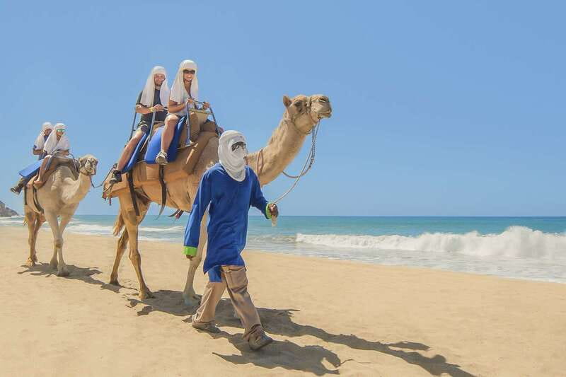 Cabo San Lucas: Camel Safari Tour with Lunch and Tequila - Key Highlights at a Glance