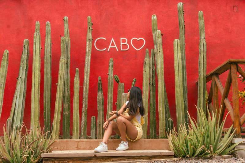 Cabo San Lucas: Camel Safari Tour with Lunch and Tequila - Cabo Ranch to Pacific Ocean Views, in About 3 Hours