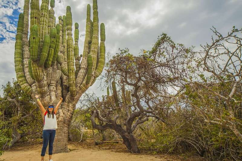 Cabo San Lucas: Camel Safari Tour with Lunch and Tequila - Tortilla Making Lesson: Why This Stops Feels Worth It