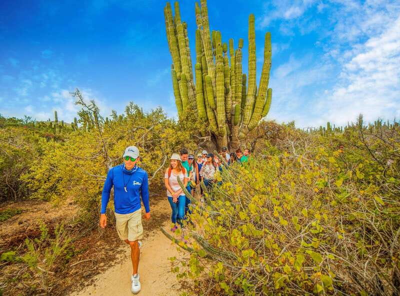Cabo San Lucas: Camel Safari Tour with Lunch and Tequila - Tequila Tasting Session With Your Lunch